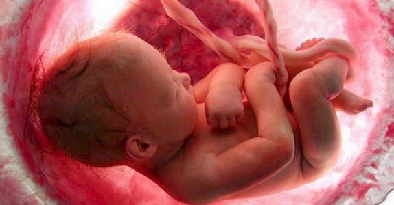 Denna video visar en baby när den växer över 9 månader i livmodern, och det kommer att CHOCKA dig!