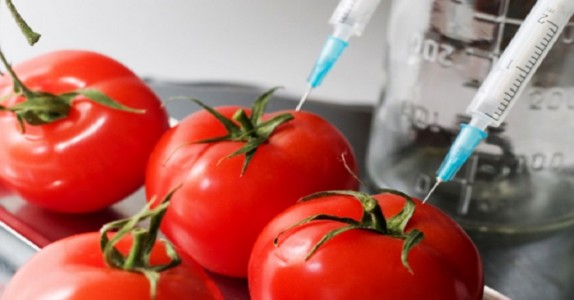 Vi äter GIFT! Här är hur man identifierar GMO tomater i 2 enkla steg!