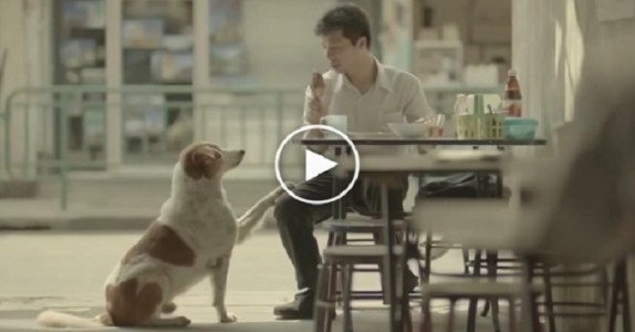 Den här reklamen kan vara det bästa NÅGONSIN! Se själv för att förstå varför …
