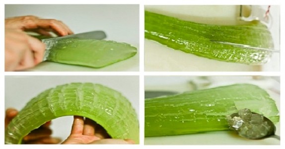 18 otroliga skäl varför aloe vera är en mirakelväxt! Du kommer aldrig köpa dyra produkter igen!!