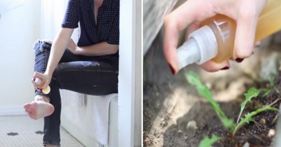 Har du äppelcidervinäger hemma? Här är 10 geniala saker du kan använda den till!