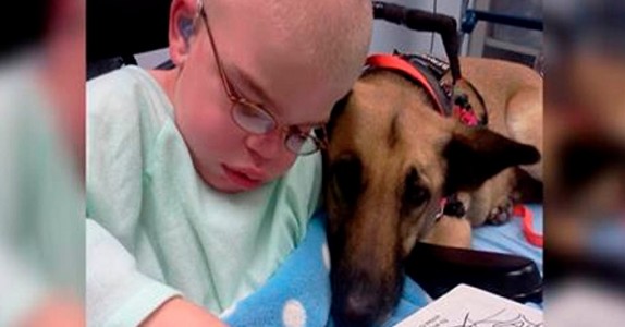 Fadern har inte råd med en servicehund till sin son – så han bestämmer sig för att ta saken i egna händer!
